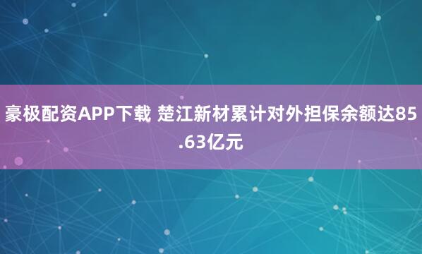 豪极配资APP下载 楚江新材累计对外担保余额达85.63亿元