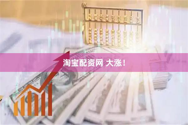 淘宝配资网 大涨！